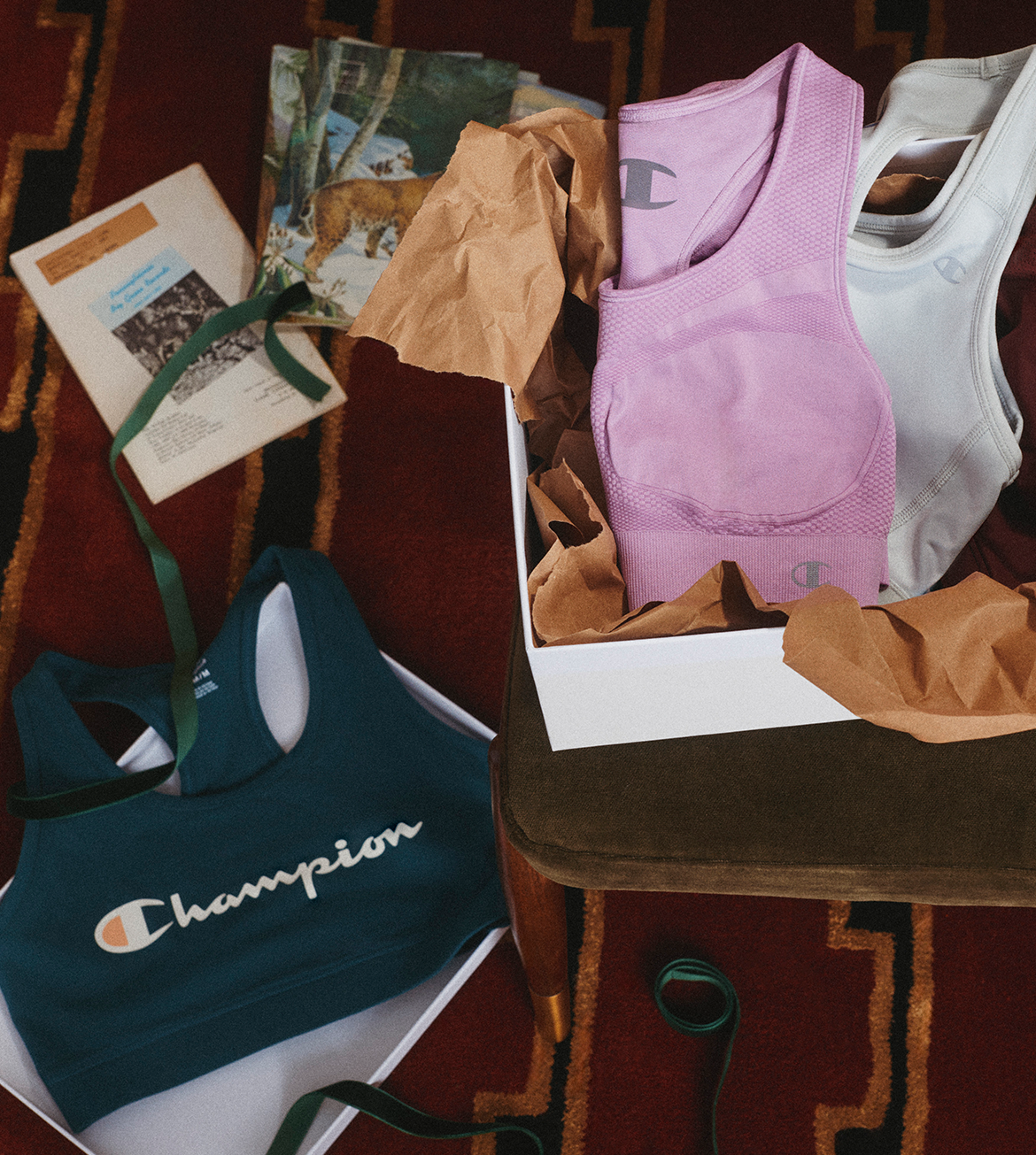 Champion sports bra set displayed in a styled flat-lay arrangement on a patterned rug, featuring a navy blue bra, a light purple mesh bra, and a white bra inside a white box with brown tissue paper.