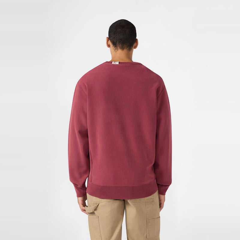 A person stands with their back to the camera, wearing the Champion Men’s Knitted Crewneck Sweatshirt (Reversible + Vintage Wash) and beige cargo pants against a plain white background.