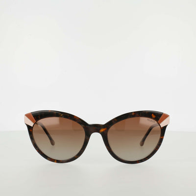 Champion Women's Polarized Cateye in Marbled Cocoa