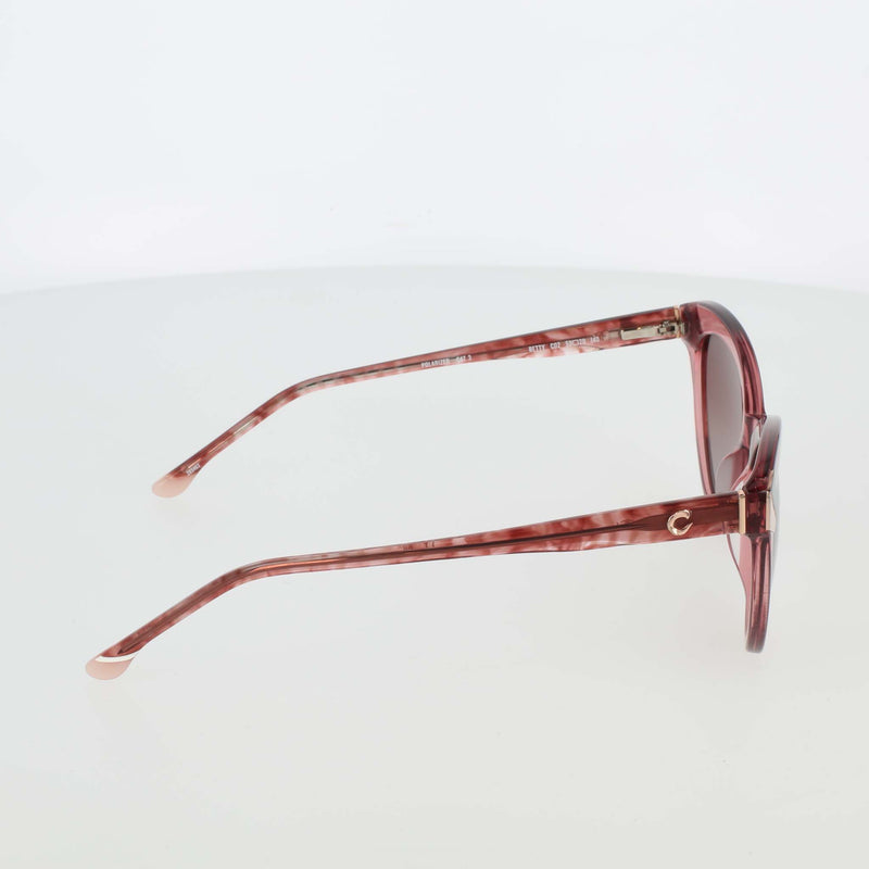 Champion Women's Polarized Cateye in Translucent Rose