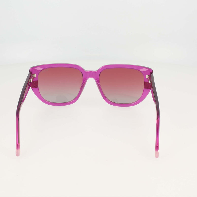 Champion Women's Polarized Modified Cateye in Trans Magenta