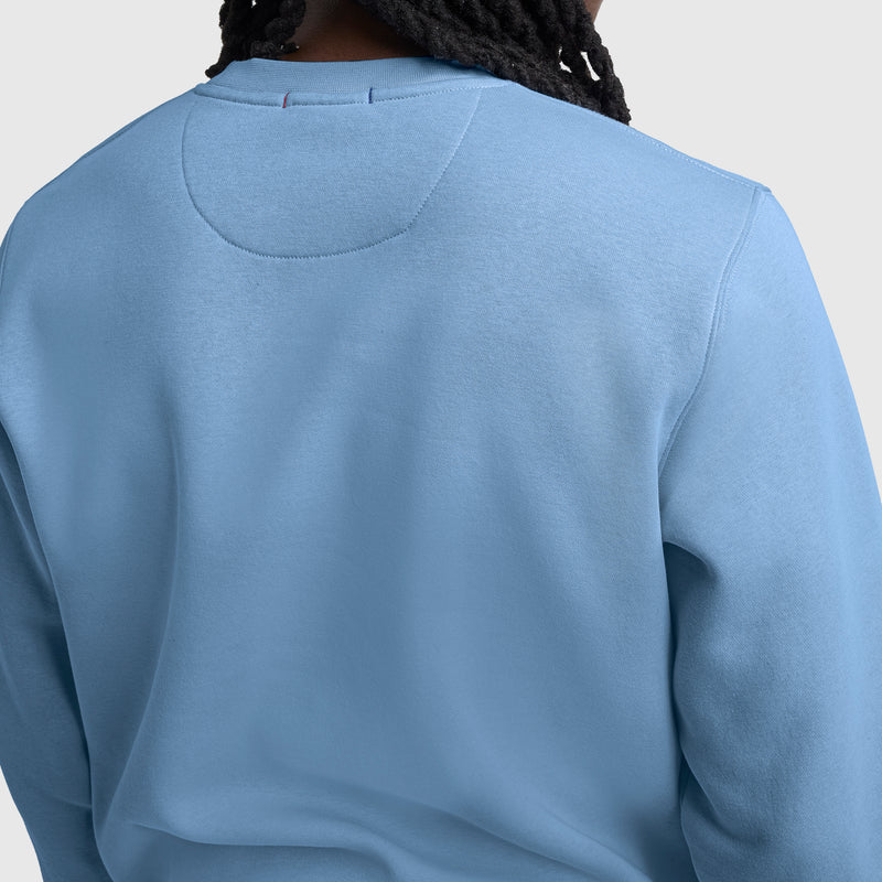 A person with long, dark braided hair is seen from the back, wearing a light blue Champion Powerblend Crewneck Sweatshirt with C Logo against a plain, light gray background.