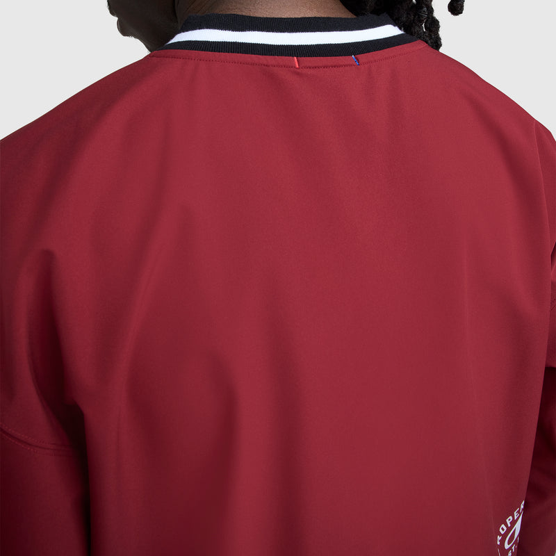 Close-up of a person in a Champion Gridiron V-Neck Pullover, featuring a black, white, and blue striped collar and C Logo. The shot highlights the upper back and shoulders against a plain light background.