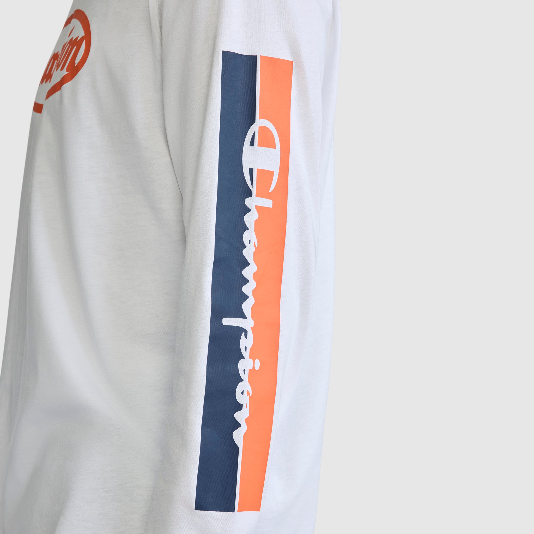 Medallion Long Sleeve Graphic T-Shirt – Champion
