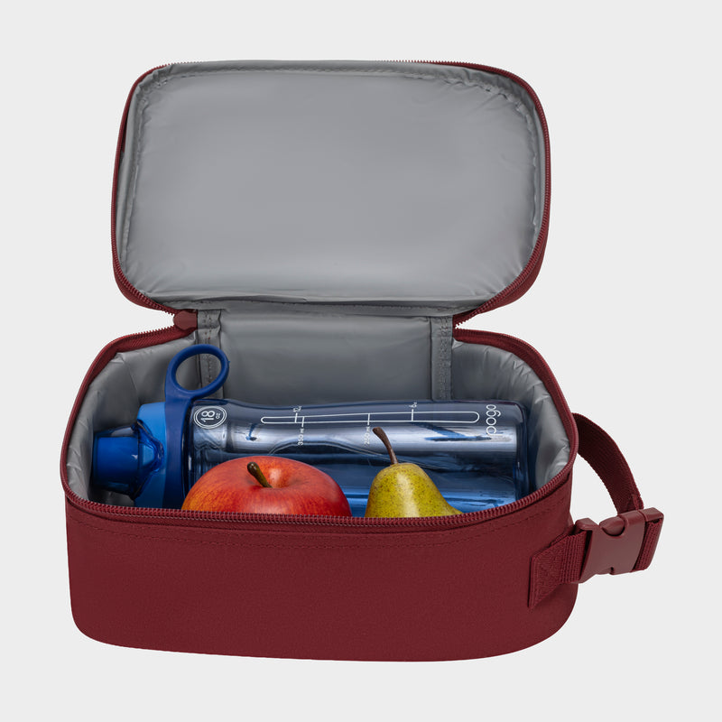 The Champion Kids' Merit Lunch Box, red with a gray interior, holds a blue water bottle, red apple, and yellow pear. Its open lid provides easy access while the side strap helps maintain temperature on the go.